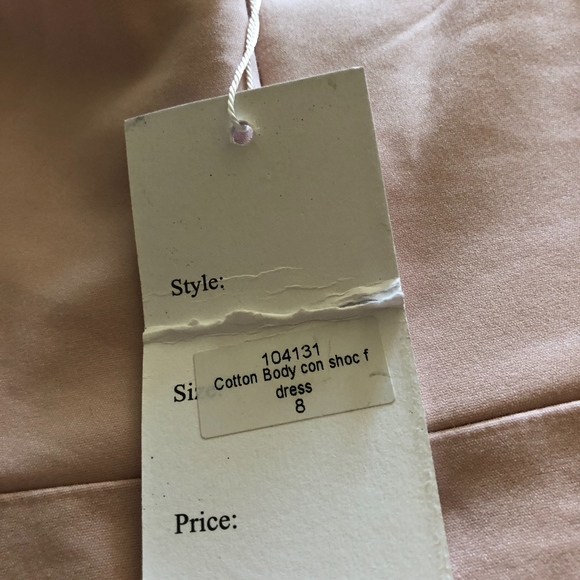 LF Blush Bodycon Below-the-Knees Dress - Picture 3 of 5